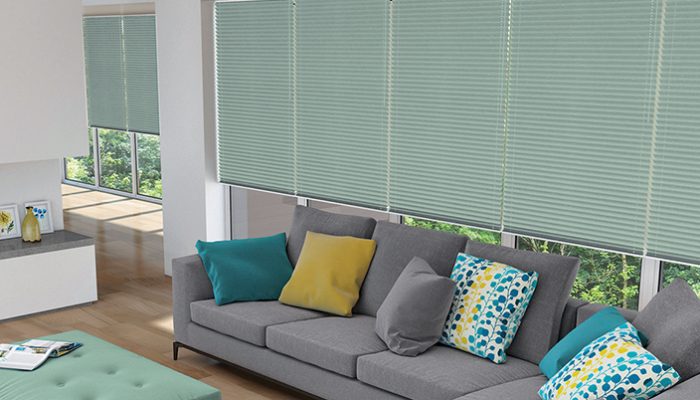 Pleated blinds living room
